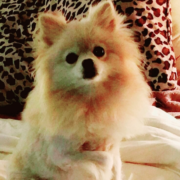 My ❤️💔 - Picture 4 of 6